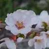 cathyburns97 - @cathyburns97 - TikTok