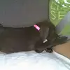 Cathy Busch747 - @cathybusch582 - TikTok