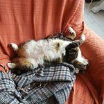 Cathy Buschlen - @cathybuschlen - Instagram