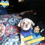 Cathy F Byrd - @cathy.byrd.56 - Instagram
