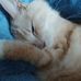 Cathy Casale - Facebook