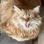 Cathy Casey - @cathycasey1 - Instagram