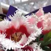 Cathy Cates - @cathy.cates4 - TikTok
