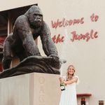 Cathy Catlin Sutton - @meme_cathys - Instagram