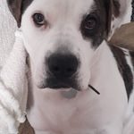Cathy Chappell - @chappell2855 - Instagram
