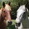 Cathy Chivers - @cathy.chivers - TikTok