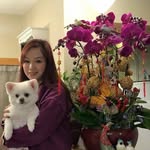 Cathy Chow - @chungshuball - Instagram