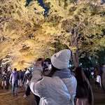 CATHY CHOW - @cathy.chow - Instagram