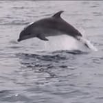 Cathy Claude - @cathyetclaude - Instagram