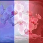 Cathy Claudel - @cathyclaudel - Instagram