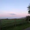 Cathy Clifford - @cathy.clifford5 - TikTok
