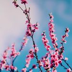 Cathy Coates - @cathy_coates - Instagram