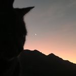 Cathy Coates - @cath_coates - Instagram
