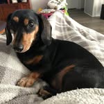 Cathy Lashlee-Combs - @cglcombs - Instagram