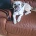 Cathy Connor - Facebook