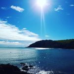 Cathy Connor - @cathybh71 - Instagram