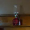 Cathy Connor - @cathy.connor4 - TikTok