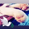Cat - @cathycontillo8 - TikTok