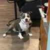 Cathy MacKay Conti - @cathy.mackay.cont - TikTok