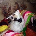 Cathy Corey - @corey.cathy - Instagram
