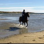 Cathy Corey - @cathy.corey.7 - Instagram