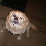 Cathy Corey Stuard - @cathystuard - Instagram