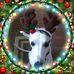 Cathy Cotter - Facebook
