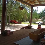 Cathy Cotter Allen - @allencathyc - Instagram