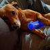 Cathy Cottrell - Facebook