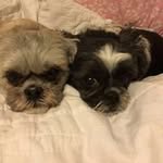 Cathy Cottrell Williams - @cathywilliams6421 - Instagram