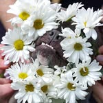 Cathy Schmidt Cottrell - @cathy.cottrell6 - Instagram