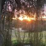 Cathy Cousins - @chazam100 - Instagram