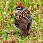 Cathy Cousins Veal - @cathy_cousins_veal0011 - Instagram