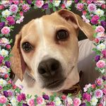 Cathy Cronin - @cscronin88 - Instagram