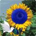 Cathy Cronin Moberg - Facebook