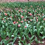 Cathy Crouse - @cscrouse1949 - Instagram
