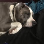 Cathy Crouse - Facebook