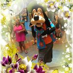 Cathy Culver - @cculver0916 - Instagram