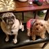 Cathy Culver - Facebook