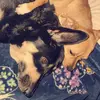 cathycundiff652 - @cathycundiff652 - TikTok