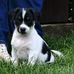 Cathy Curran - Facebook