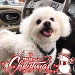 Cathy Curran - @ccurran721 - Instagram