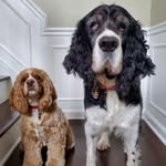 Cathy Curtis-Mellinger - @mellingercathy - Instagram