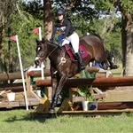 Cathy Wunderlich - @cathycurtiswunderlich - Instagram