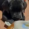 cathycurtis937 - @cathycurtis937 - TikTok