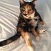 Cathy Cutler - Facebook