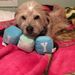Cathy Dallmeier - Facebook