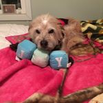 Cathy Dallmeier - @cathymdallmeier - Instagram
