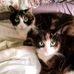 Cathy Dallmeyer - Facebook