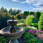 Cathy Davidson - @gardeninginthegig - Instagram